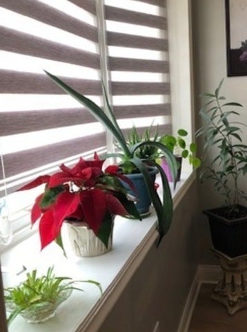 Tiny photo for 6316 W 64th Street, Chicago, IL 60638 (MLS # 12764045)