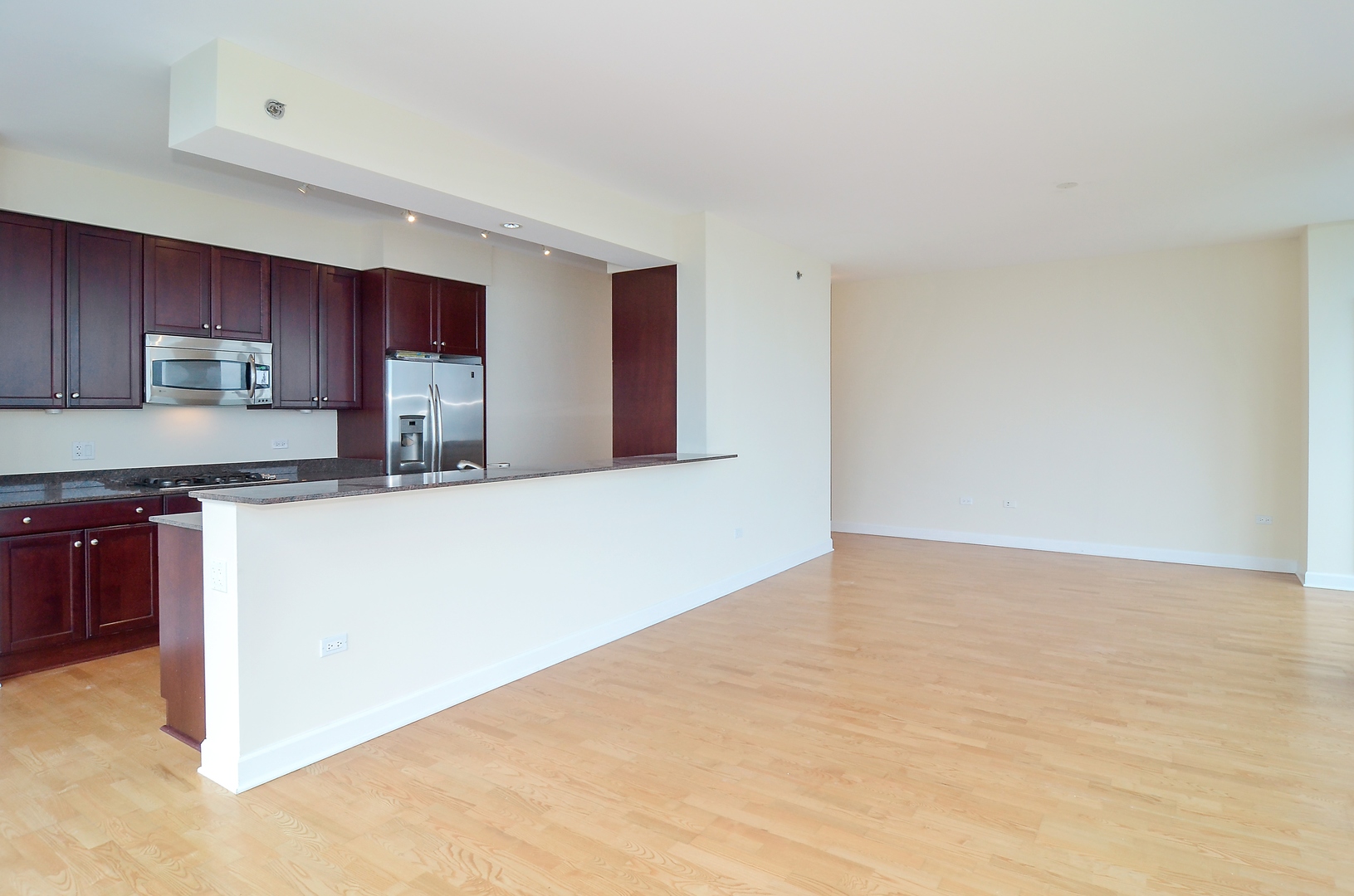 1211 S Prairie Avenue 3603