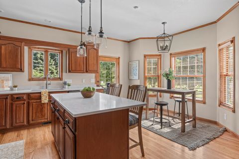 Tiny photo for 1021 Springbrook Lane, De Witt, IA 52742 (MLS # 12682127)