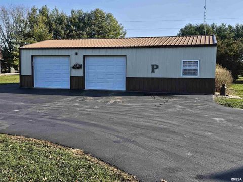 Tiny photo for 10586 N Spring Garden Lane, Mt Vernon, IL 62864 (MLS # EB460697)