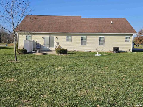 Tiny photo for 10586 N Spring Garden Lane, Mt Vernon, IL 62864 (MLS # EB460697)