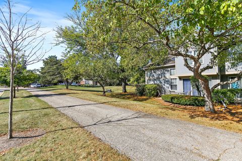 Tiny photo for 133 White Branch S Court #133, Schaumburg, IL 60194 (MLS # 12492397)