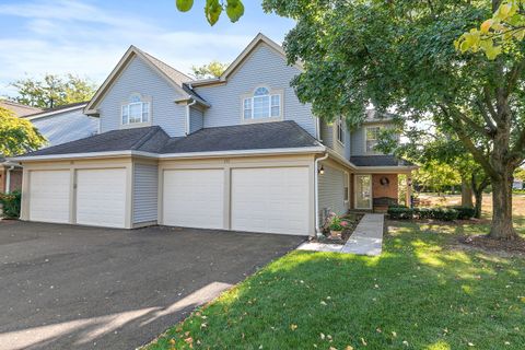 Tiny photo for 133 White Branch S Court #133, Schaumburg, IL 60194 (MLS # 12492397)