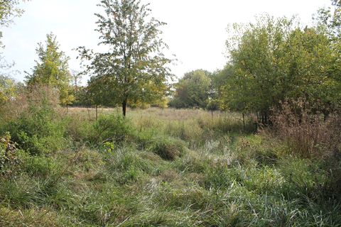 Tiny photo for 13279 Lovers Lane Road, Princeton, IL 61356 (MLS # 12503290)