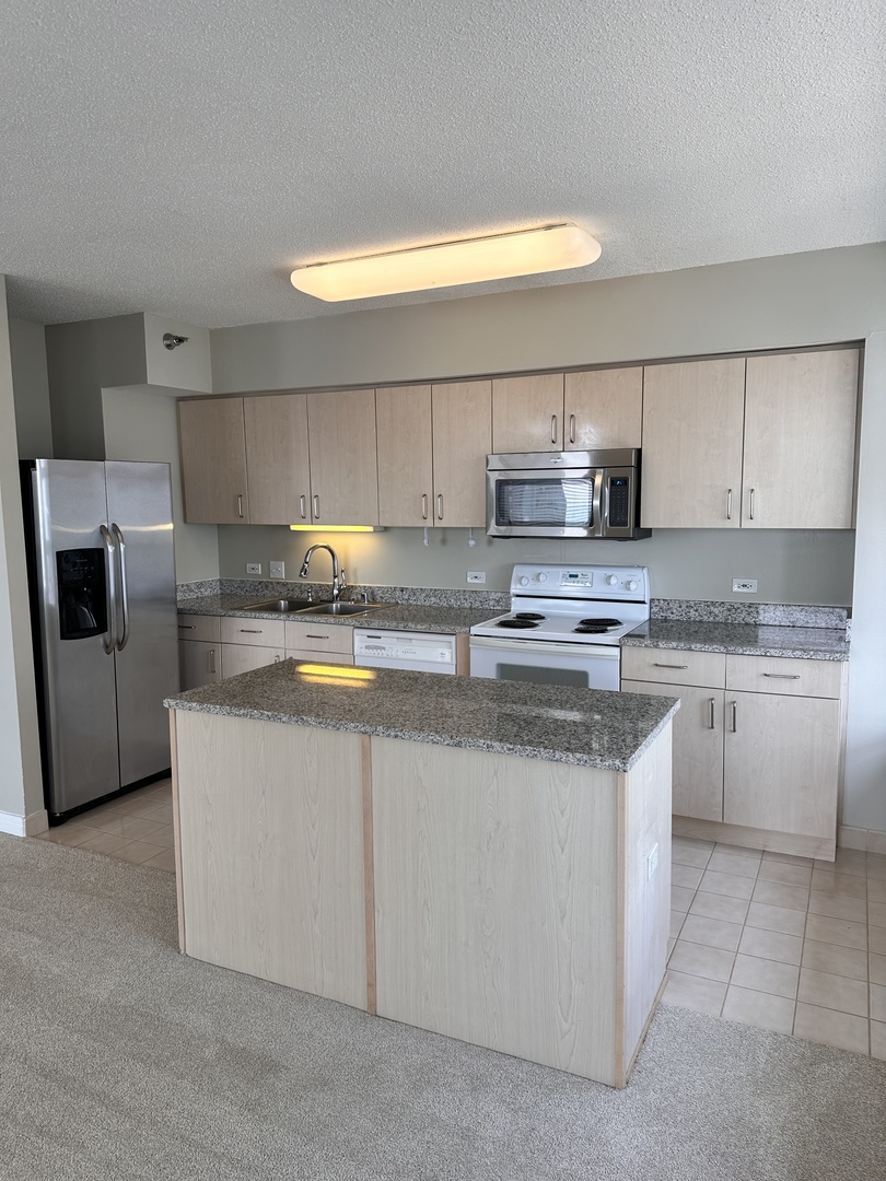 512 N MCCLURG Court 2204