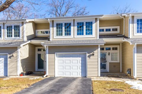 26223 N Green Street 3D Mundelein IL 60060