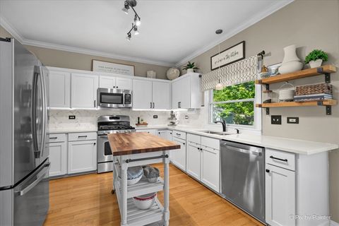 Tiny photo for 1491 Woodscreek Circle, Crystal Lake, IL 60014 (MLS # 12648935)