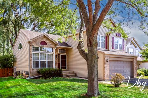 81 W Dahlia Lane Round Lake Beach IL 60073