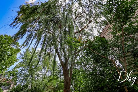 Tiny photo for 81 W Dahlia Lane, Round Lake Beach, IL 60073 (MLS # 12475474)