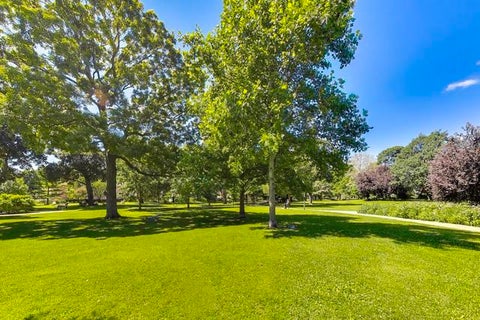 Tiny photo for 110 S Marion Street #201, Oak Park, IL 60302 (MLS # 12755362)
