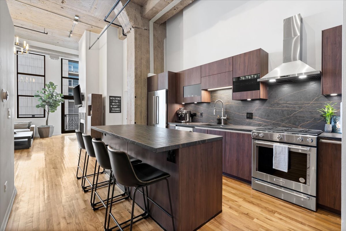 758 N Larrabee Street 519