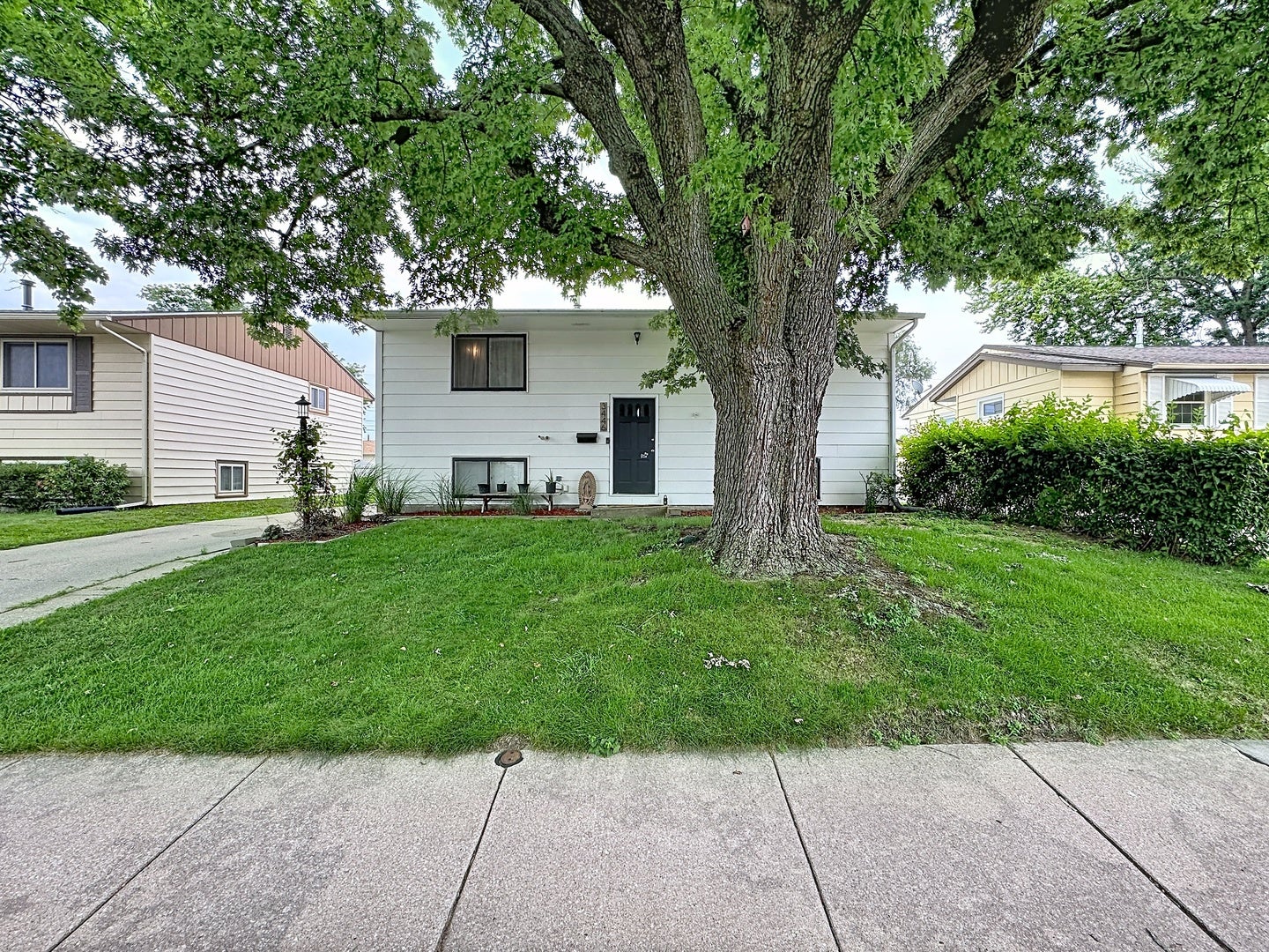 3446 3rd Street A