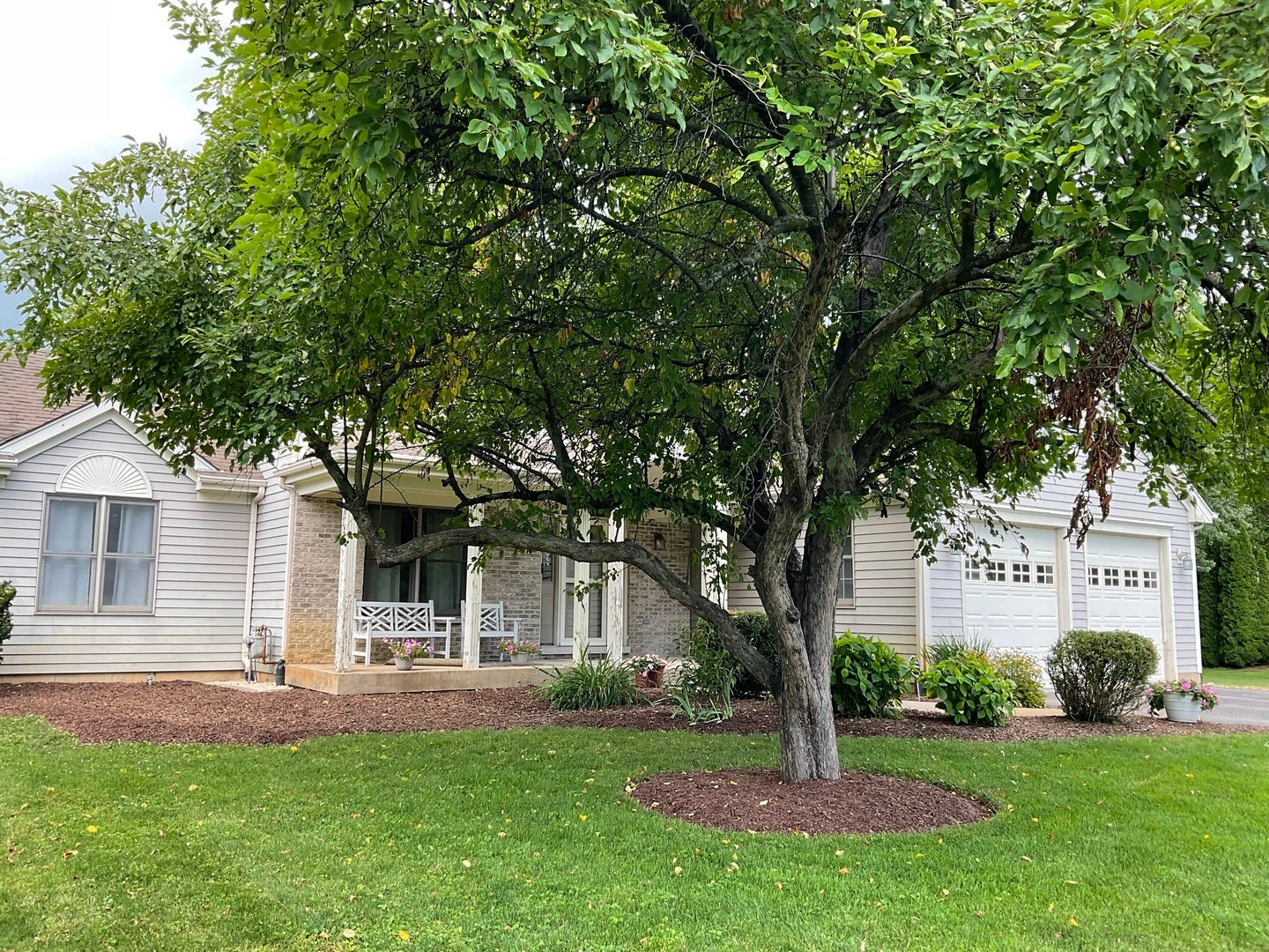 41W610 Silvana Drive
