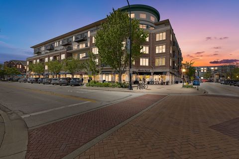 Tiny photo for 100 S Emerson Street #205, Mount Prospect, IL 60056 (MLS # 12630935)