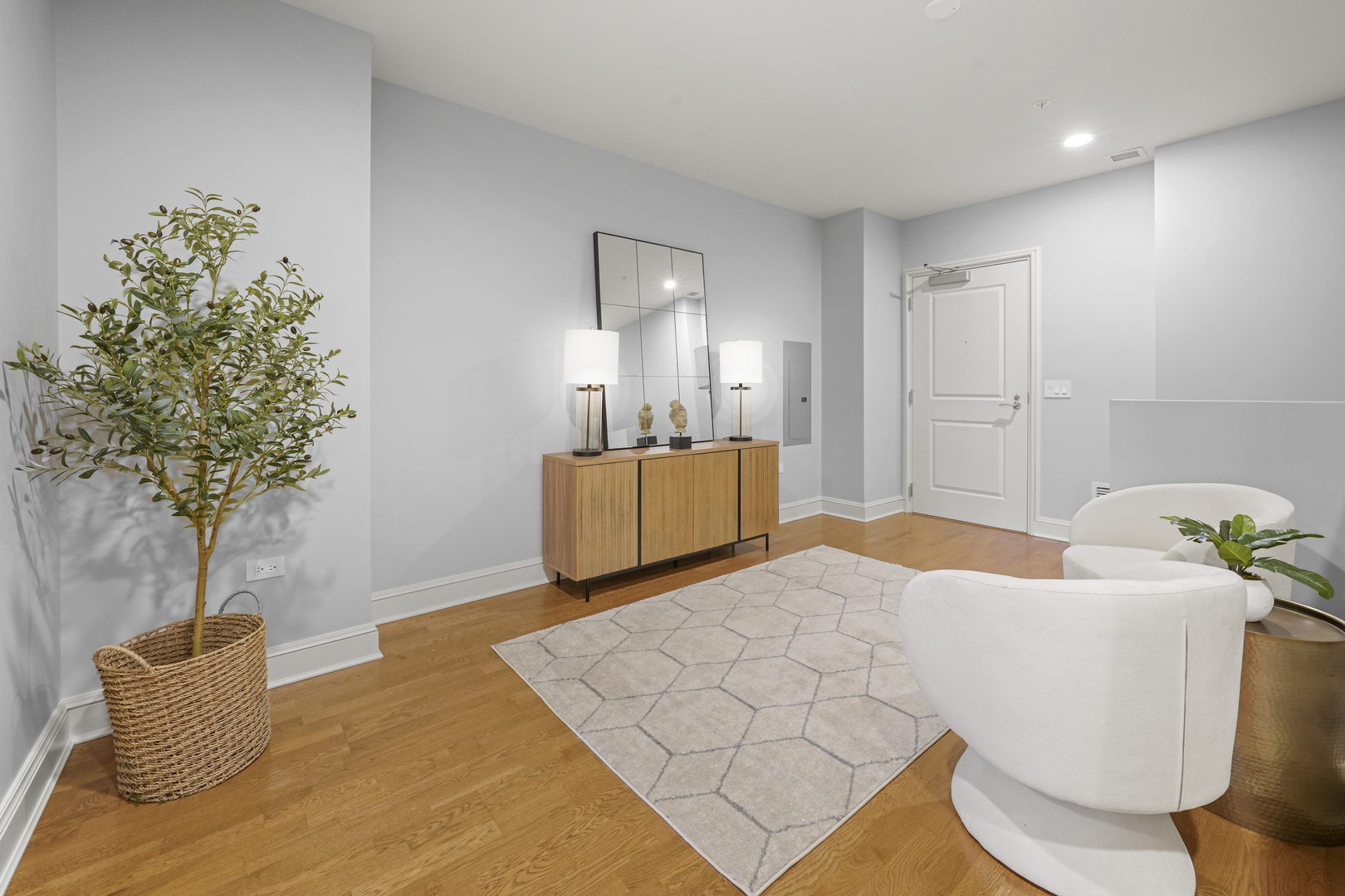 850 N Lake Shore Drive 204