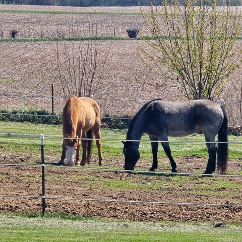 Tiny photo for 17870 Clover Road, Morrison, IL 61270 (MLS # 12624626)