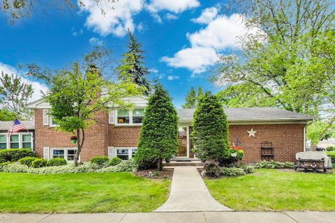 1241 Elliott Street Park Ridge IL 60068
