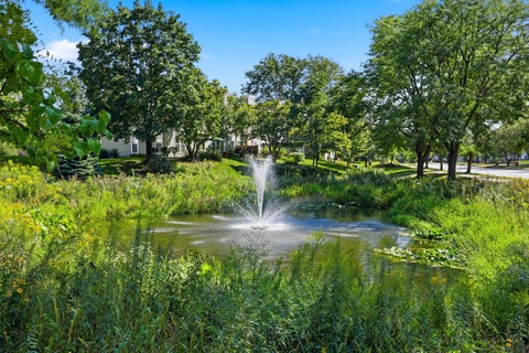 Tiny photo for 943 Little Falls Court #943, Elk Grove Village, IL 60007 (MLS # 12753710)