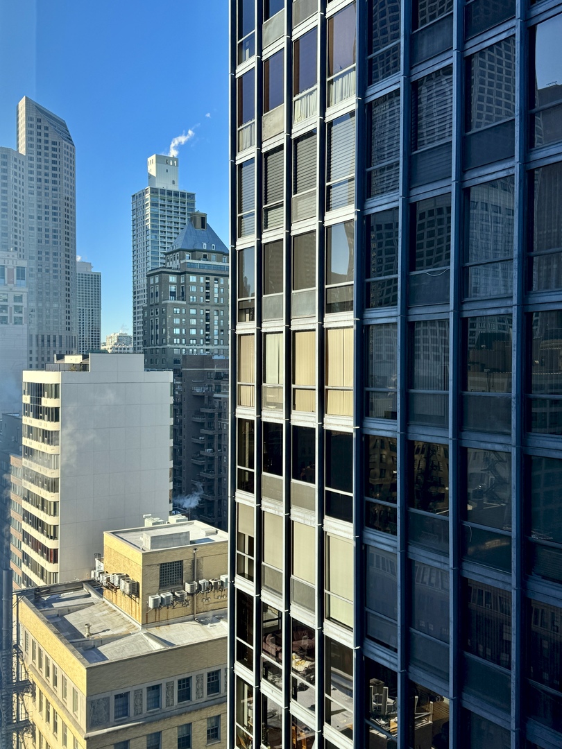 900 N Lake Shore Drive 2405