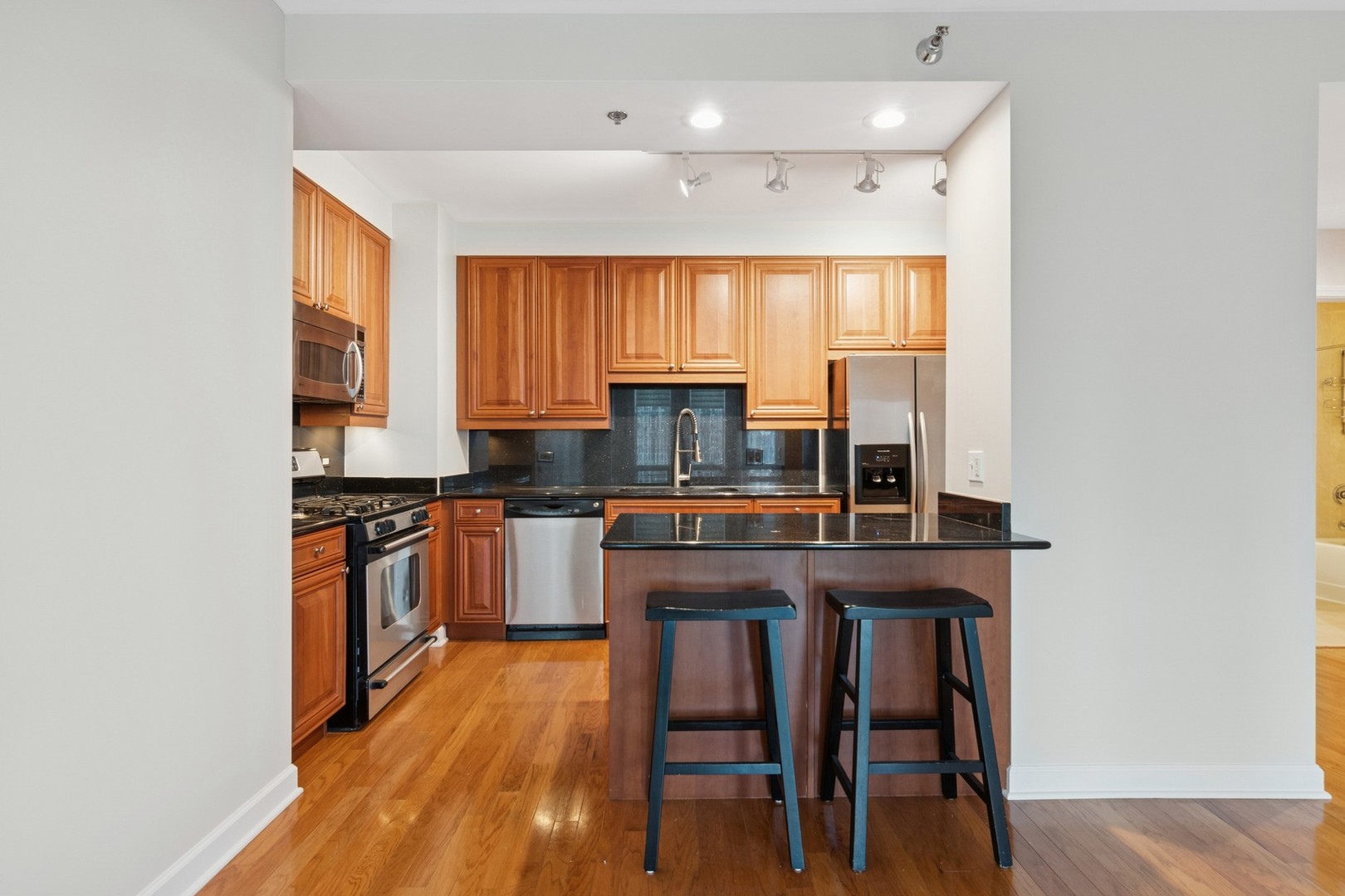 1250 S MICHIGAN Avenue 2304