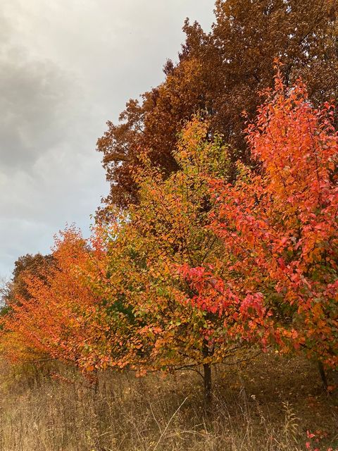 Tiny photo for 273 Bridlewood Lane, Valparaiso, IN 46385 (MLS # 12430512)