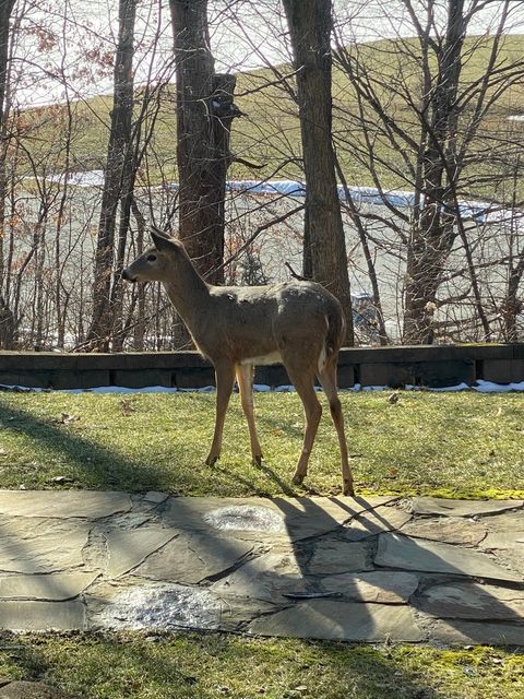 Tiny photo for 273 Bridlewood Lane, Valparaiso, IN 46385 (MLS # 12430512)