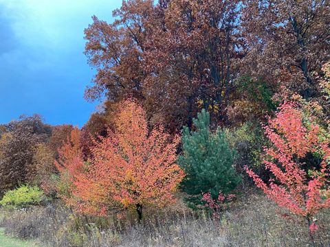 Tiny photo for 273 Bridlewood Lane, Valparaiso, IN 46385 (MLS # 12430512)