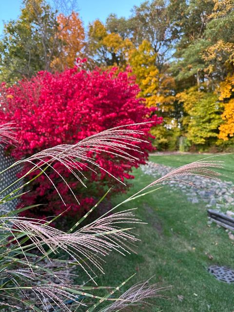 Tiny photo for 273 Bridlewood Lane, Valparaiso, IN 46385 (MLS # 12430512)