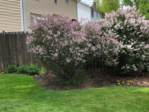Tiny photo for 1641 Lois Ann Lane, Naperville, IL 60563 (MLS # 12602127)