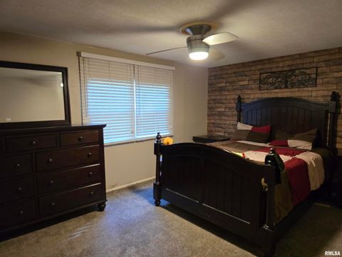 Tiny photo for 10617 Torrance Road, Carbondale, IL 62901 (MLS # EB460778)