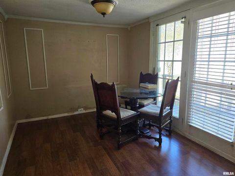 Tiny photo for 10617 Torrance Road, Carbondale, IL 62901 (MLS # EB460778)