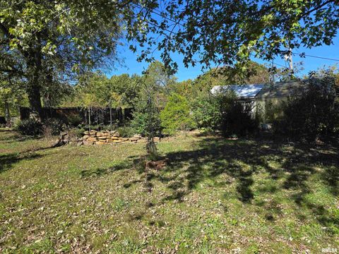 Tiny photo for 10617 Torrance Road, Carbondale, IL 62901 (MLS # EB460778)