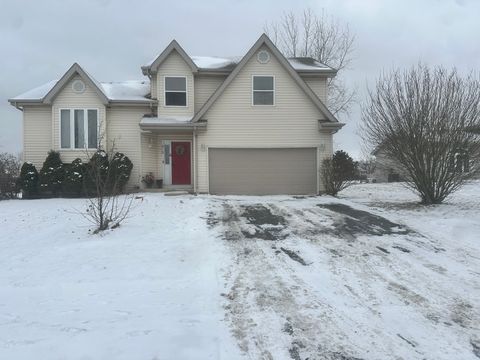 Photo of 913 Laurel Drive, Elwood, IL 60421 (MLS # 12558219)