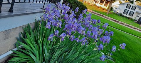 Tiny photo for 1221 6th Avenue, Dewitt, IA 52742 (MLS # 12589358)