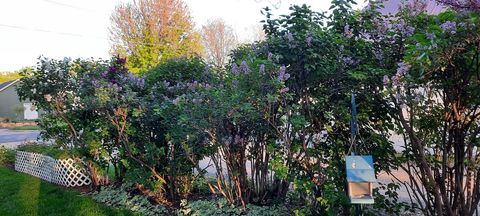 Tiny photo for 1221 6th Avenue, Dewitt, IA 52742 (MLS # 12589358)