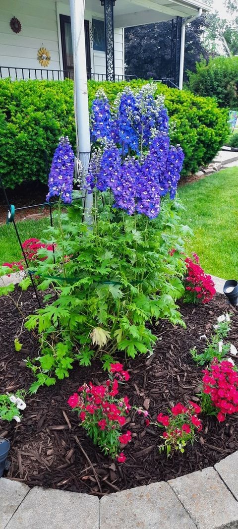 Tiny photo for 1221 6th Avenue, Dewitt, IA 52742 (MLS # 12589358)