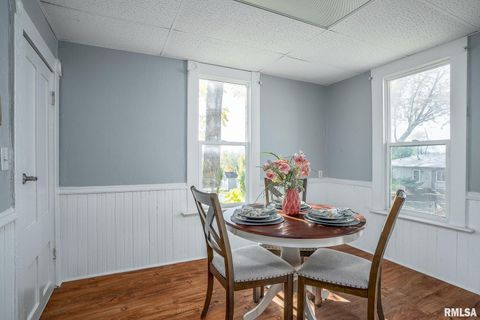 Tiny photo for 1127 N RIPLEY Street, Davenport, IA 52803 (MLS # QC4269145)