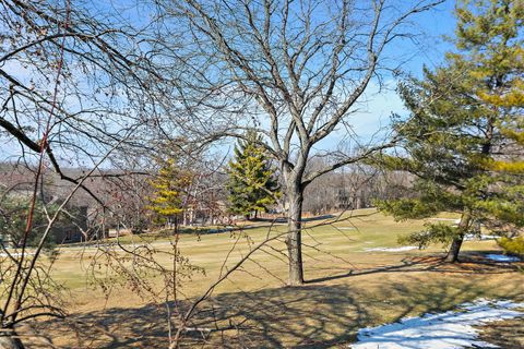 Tiny photo for 260 Timber Ridge Lane #A, Lake Barrington, IL 60010 (MLS # 12551409)