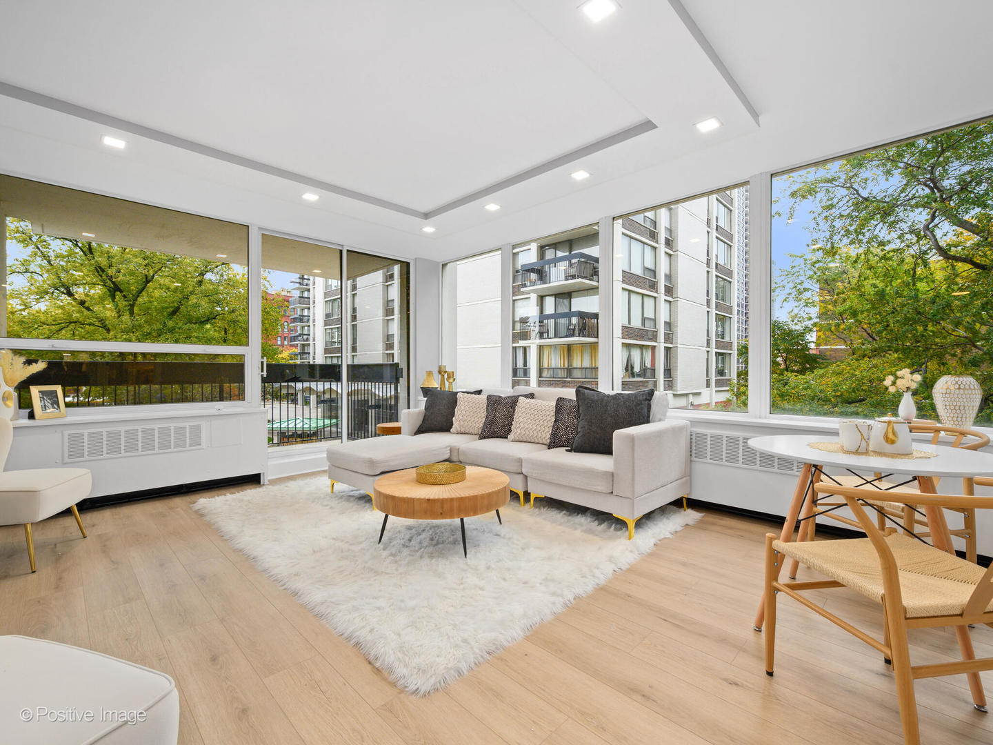 1455 N Sandburg Terrace 209B