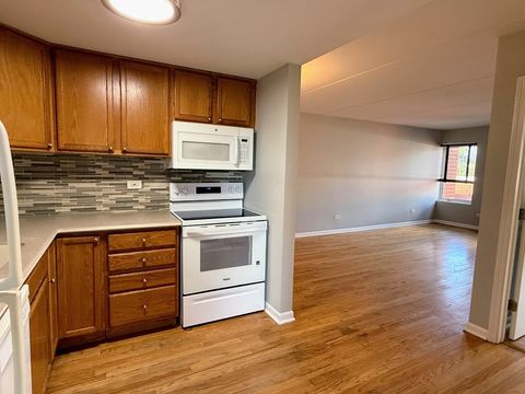 Tiny photo for 1041 Susan Collins Lane #402, Oak Park, IL 60302 (MLS # 12502684)