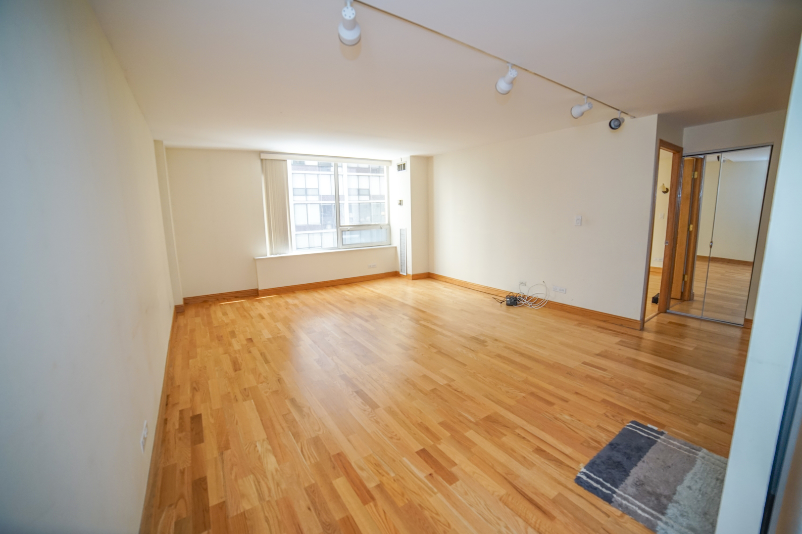 233 E Erie Street 1010