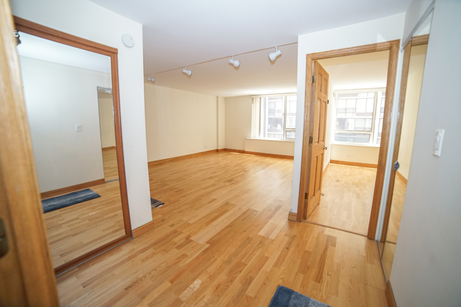233 E Erie Street 1010