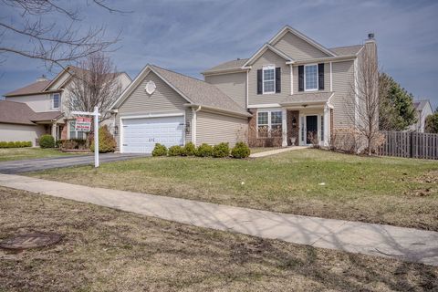 Tiny photo for 250 Tiger Street, Bolingbrook, IL 60490 (MLS # 12603000)