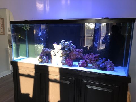 Tiny photo for 17917 Lorenz Avenue, Lansing, IL 60438 (MLS # 12586140)