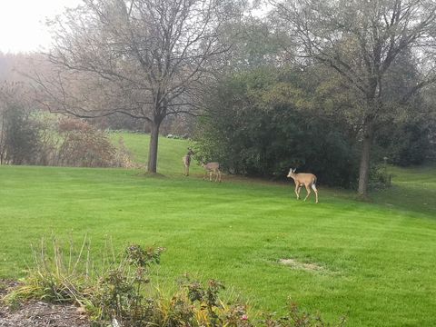 Tiny photo for 1163 OMalley Drive, Lake Zurich, IL 60047 (MLS # 12564942)