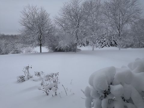 Tiny photo for 1163 OMalley Drive, Lake Zurich, IL 60047 (MLS # 12564942)