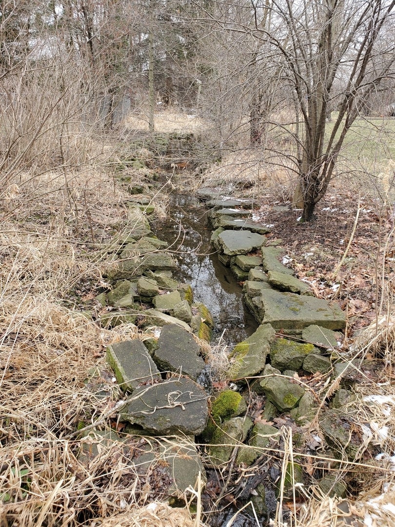 19925 W IL ROUTE 60 Road