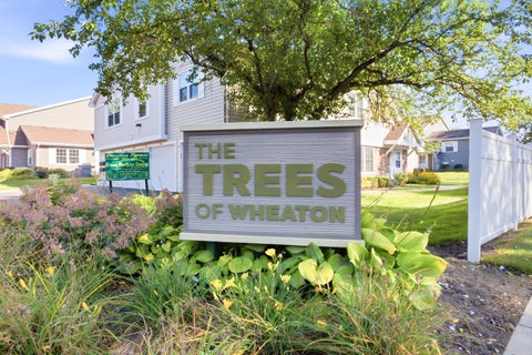 Tiny photo for 1645 Timber Trail #D, Wheaton, IL 60189 (MLS # 12751404)