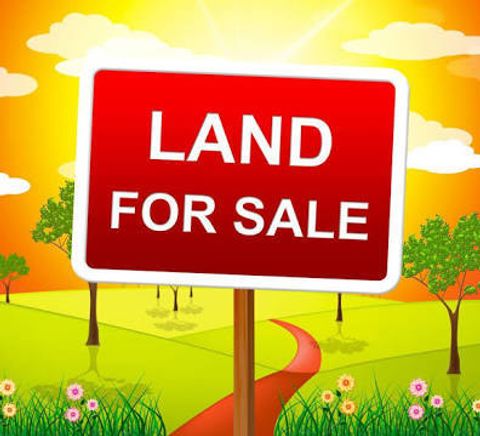 238 Grant Avenue Clarendon Hills IL 60514