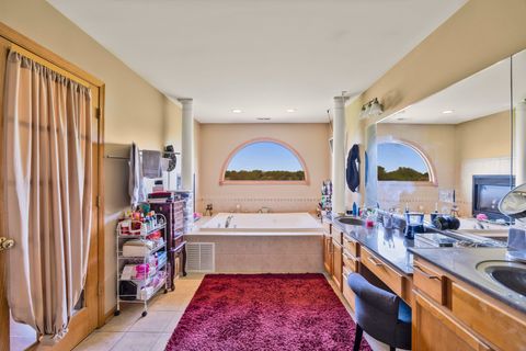 Tiny photo for 6030 Colgate Lane, Matteson, IL 60443 (MLS # 12642894)